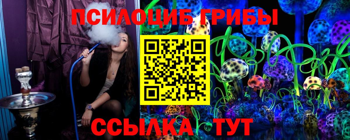 Псилоцибиновые грибы Cubensis  Галлюциногенные грибы прущие грибы  Вход с VPN  Новокубанск 